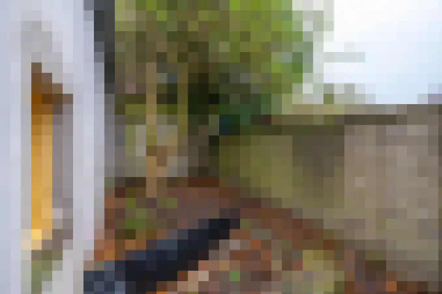 Hogenoord 6 Utrecht thumbnail 11