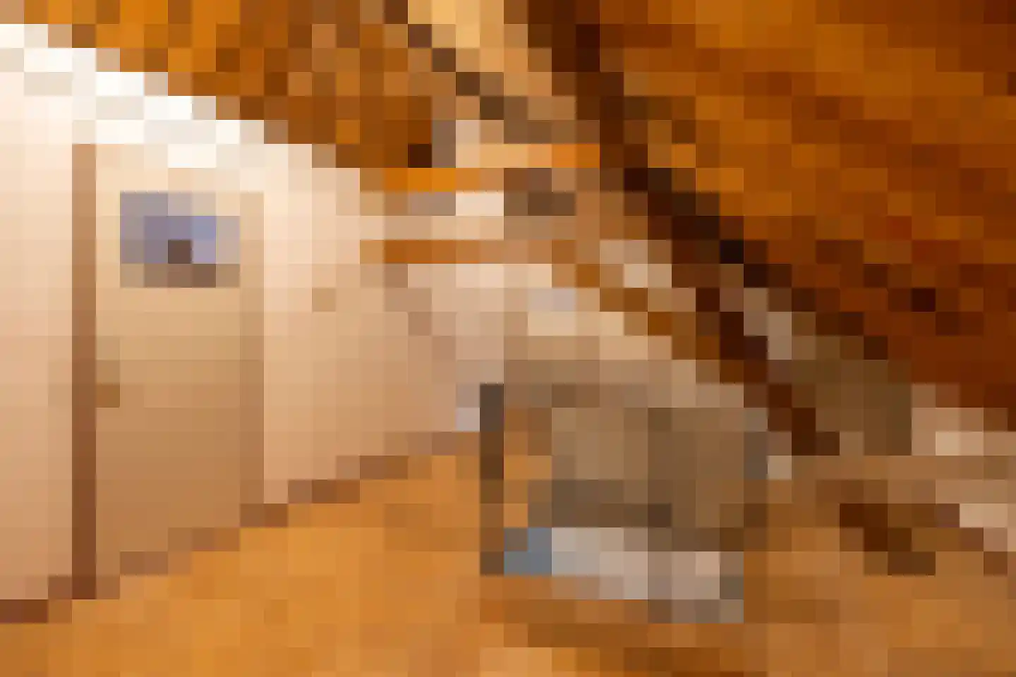 Hogenoord 6 Utrecht thumbnail 19