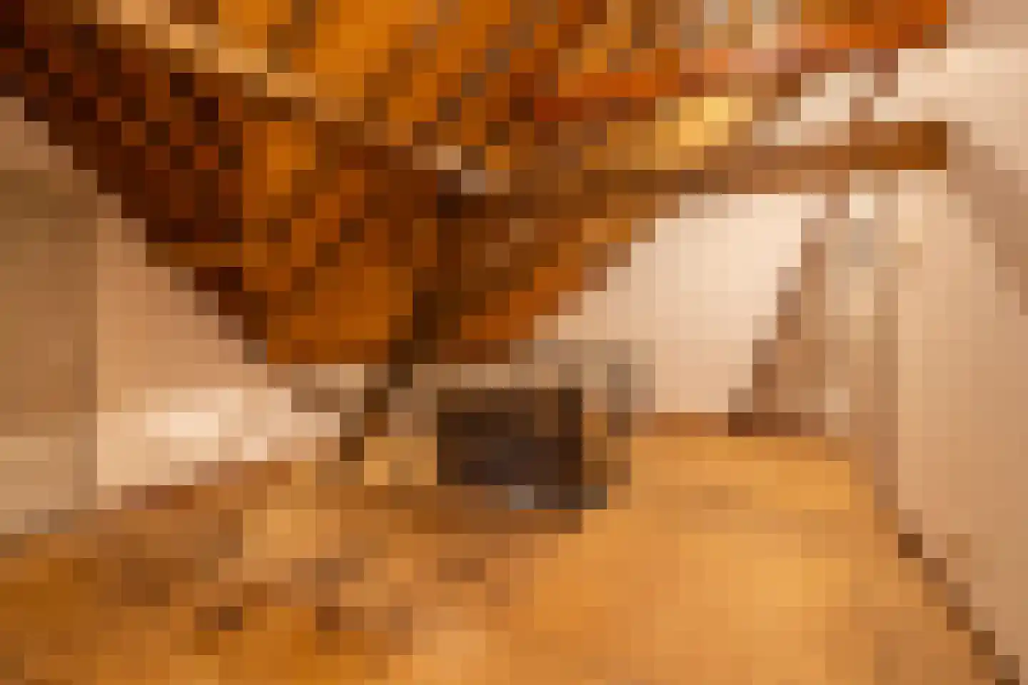 Hogenoord 6 Utrecht thumbnail 20