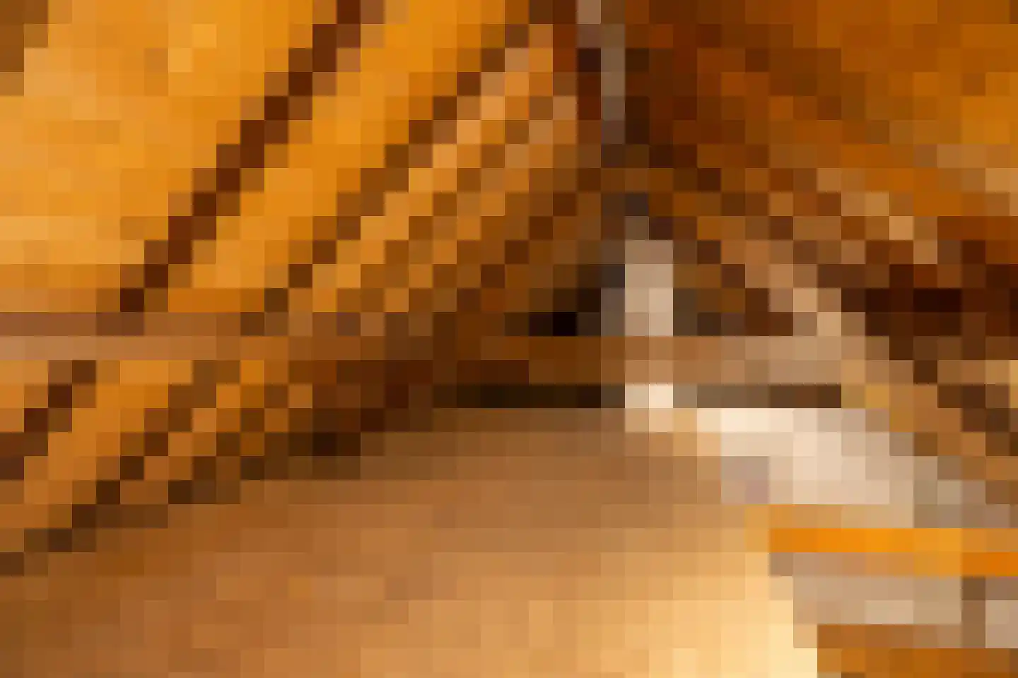 Hogenoord 6 Utrecht thumbnail 21