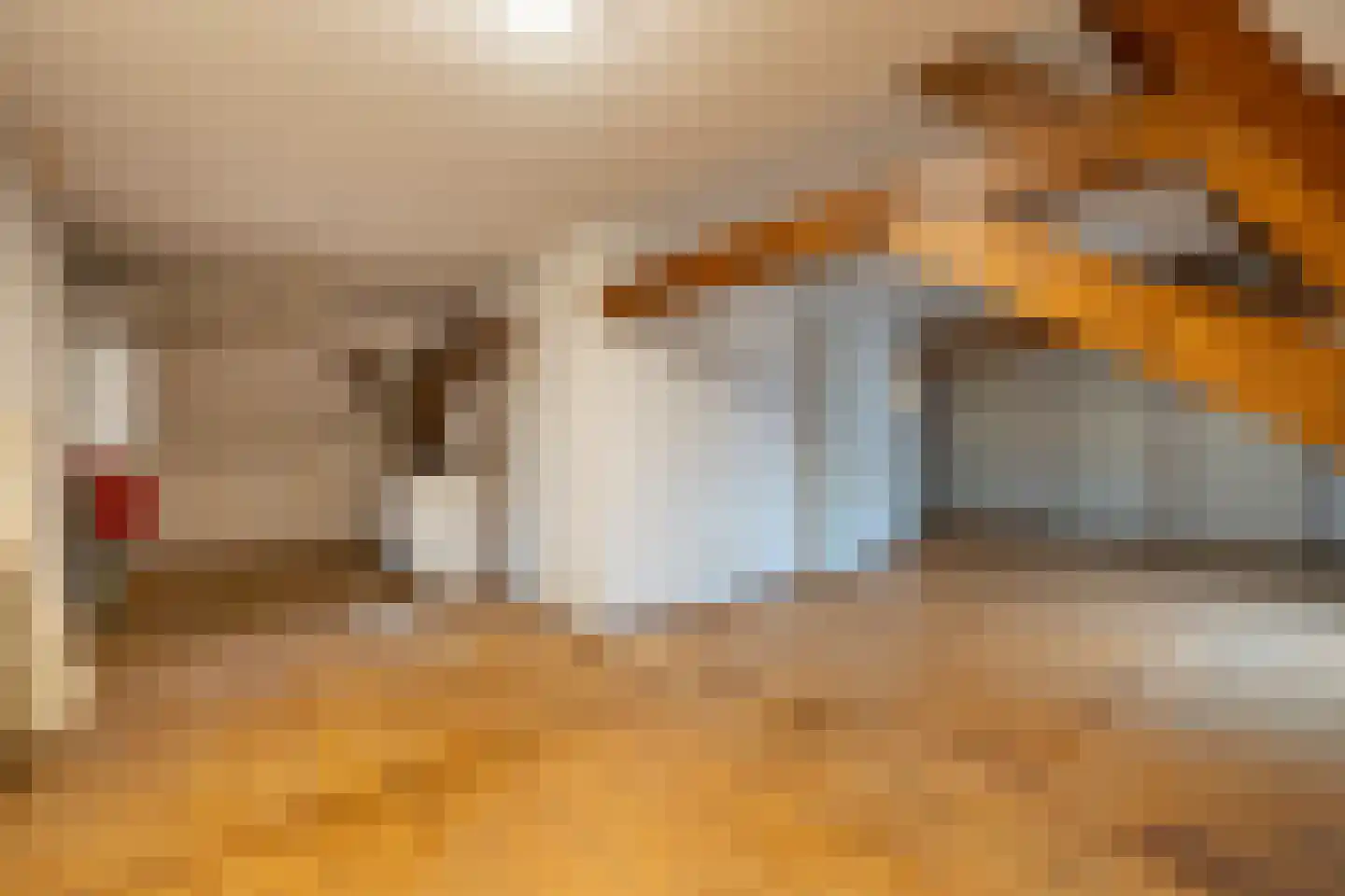 Hogenoord 6 Utrecht thumbnail 24