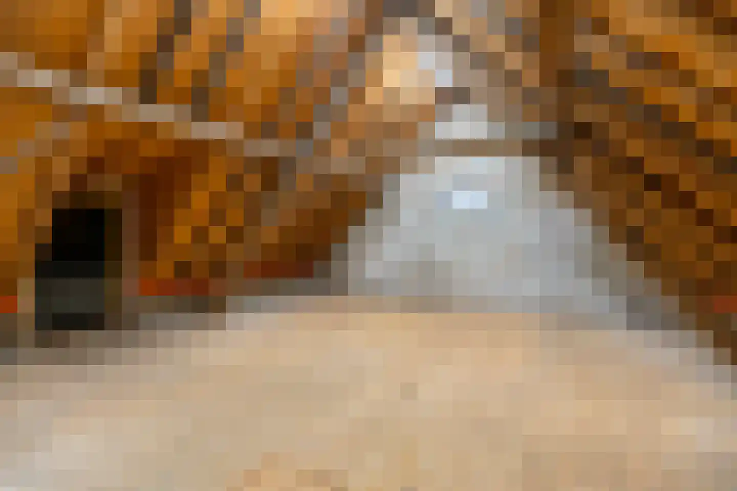 Hogenoord 6 Utrecht thumbnail 26