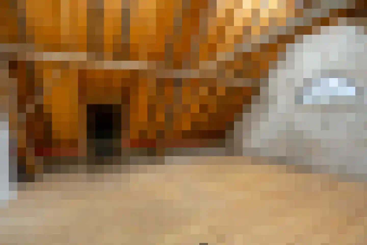 Hogenoord 6 Utrecht thumbnail 28