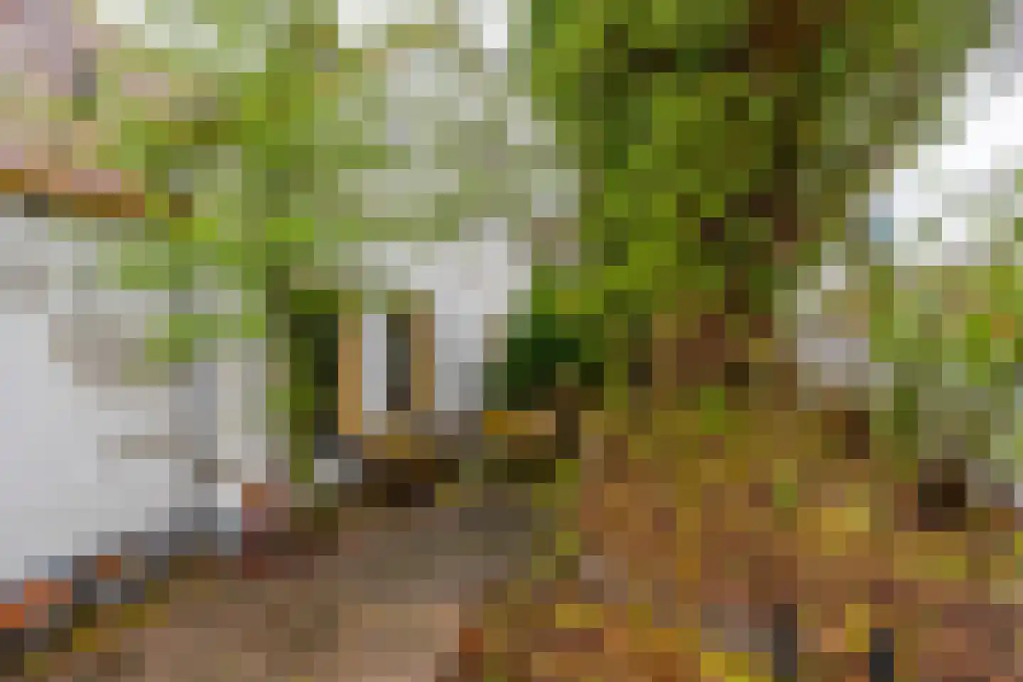 Hogenoord 6 Utrecht thumbnail 33