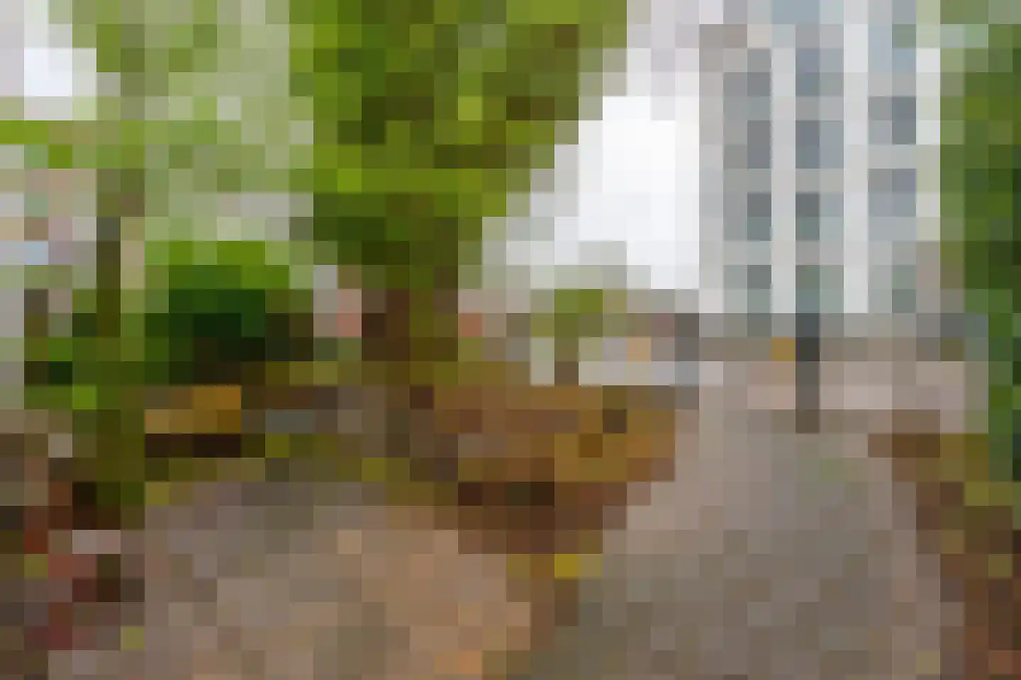 Hogenoord 6 Utrecht thumbnail 34