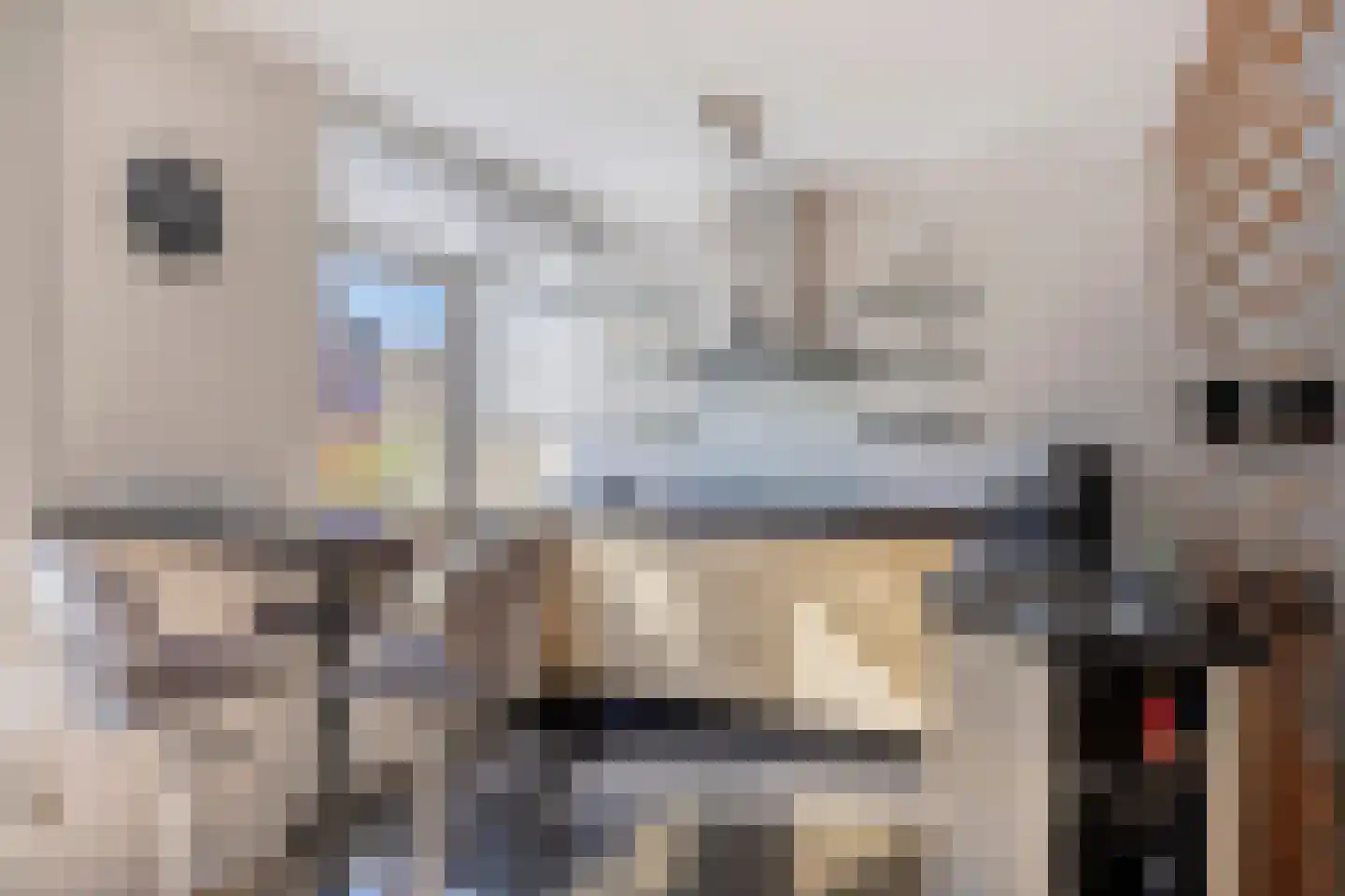 Hogepad 22 Heerde thumbnail 11