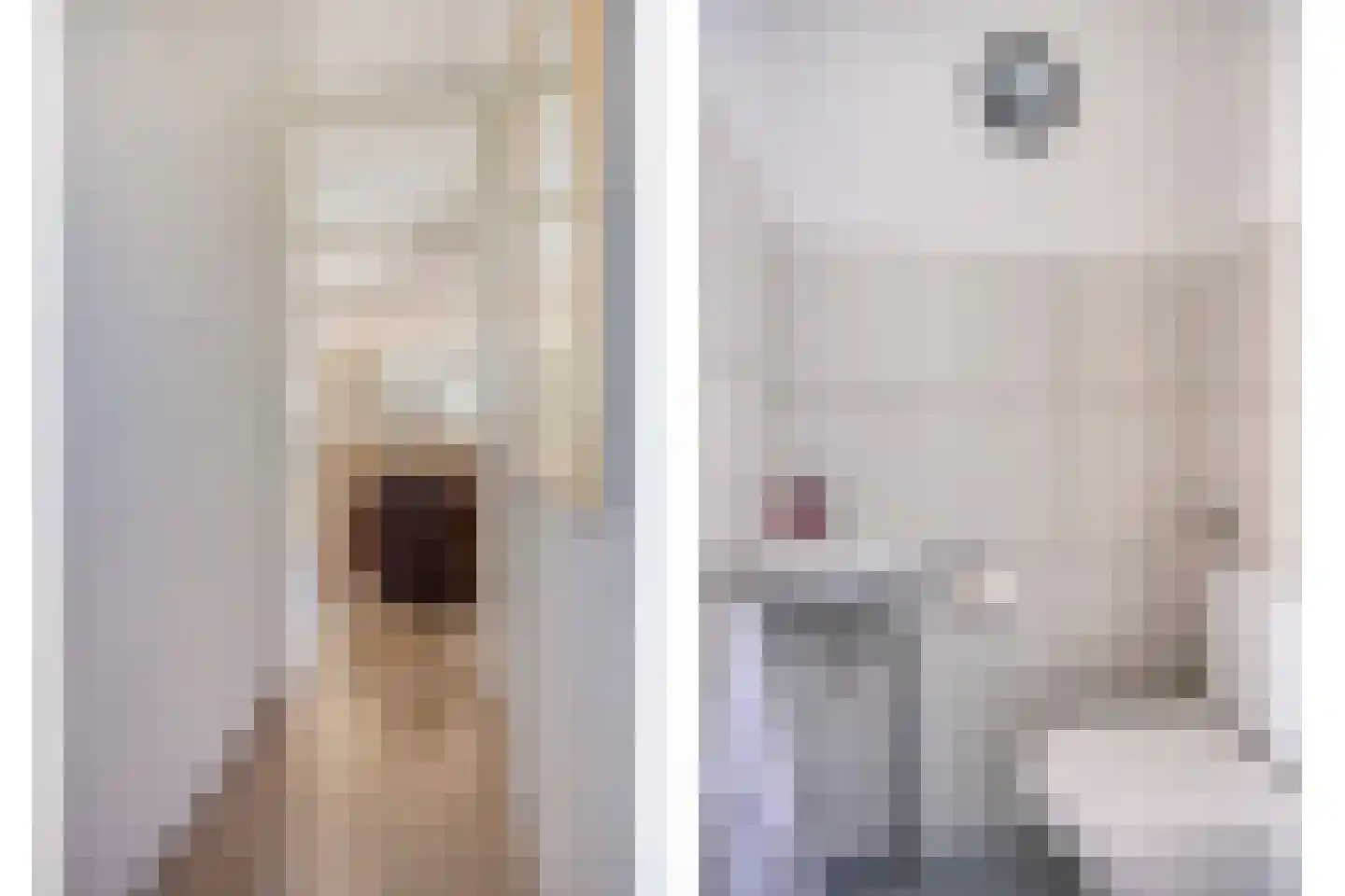 Hogepad 22 Heerde thumbnail 15