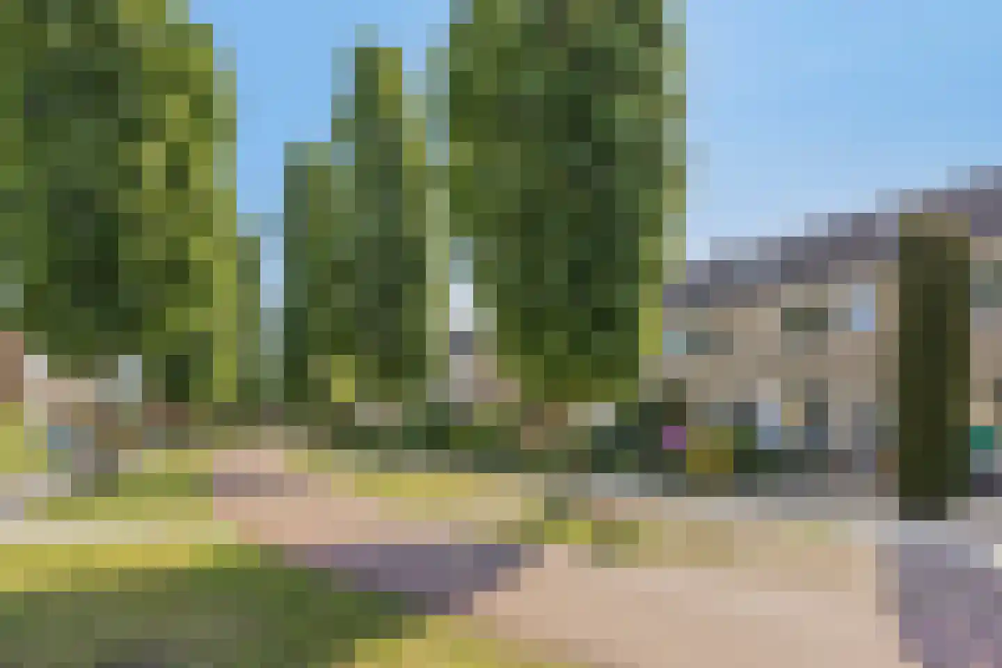 Hogepad 22 Heerde thumbnail 31
