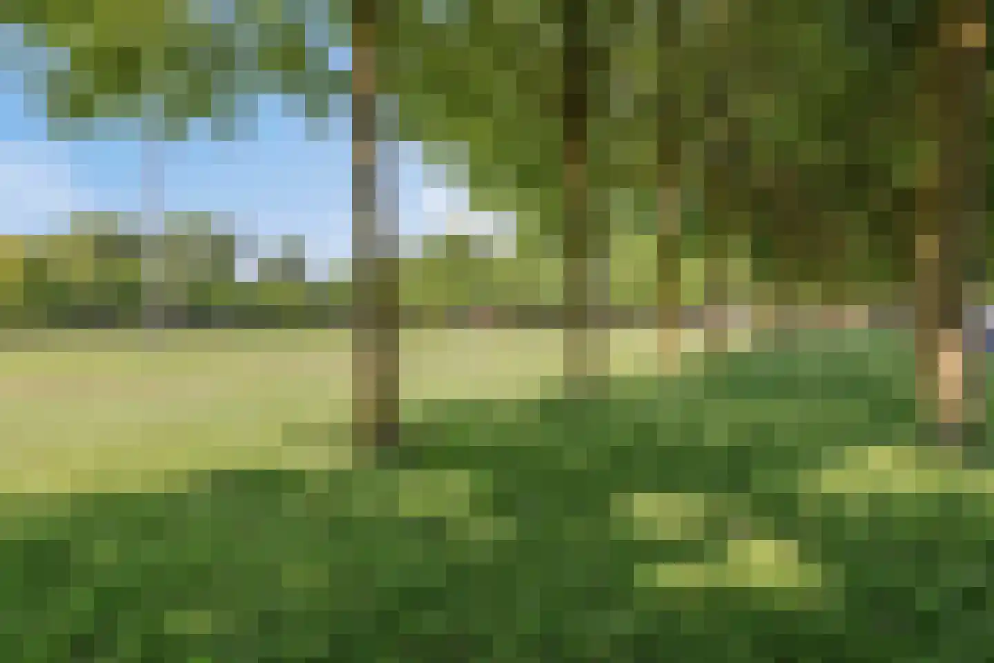 Hogepad 22 Heerde thumbnail 35