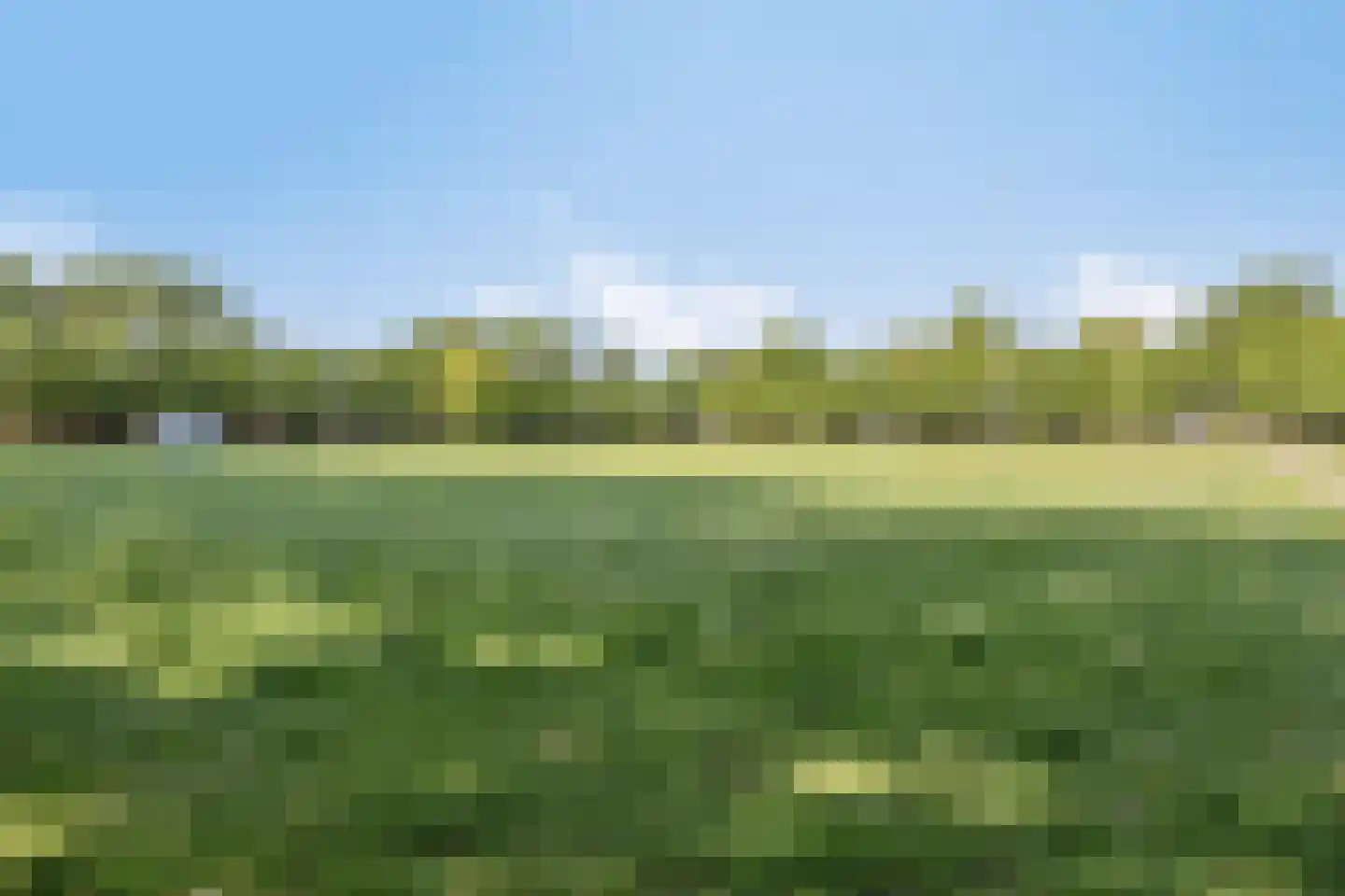 Hogepad 22 Heerde thumbnail 36