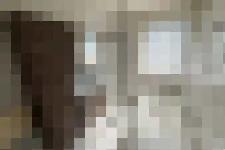 Hogepad 24 Heerde thumbnail 12
