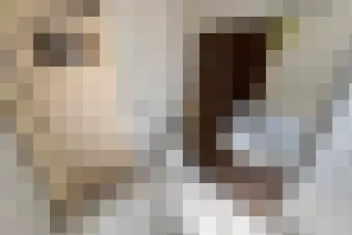 Hogepad 24 Heerde thumbnail 13