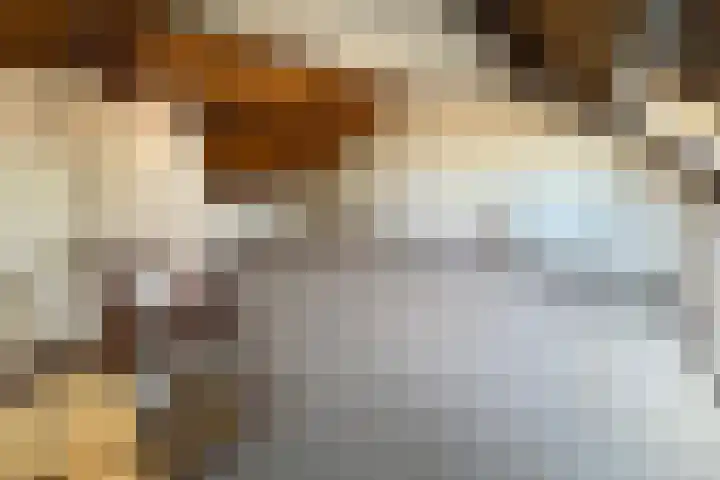 Hogepad 24 Heerde thumbnail 14