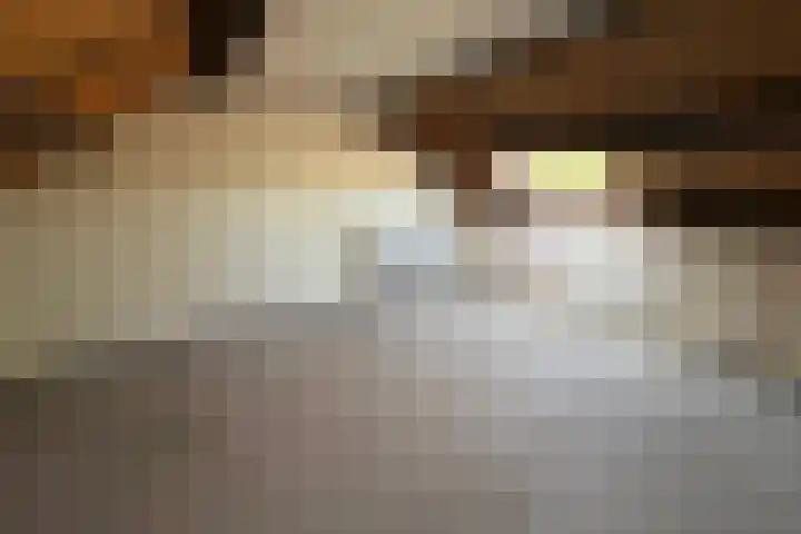 Hogepad 24 Heerde thumbnail 15
