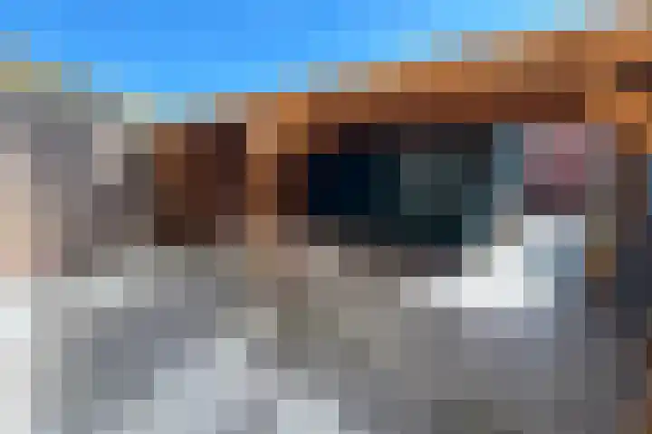 Hogepad 24 Heerde thumbnail 17