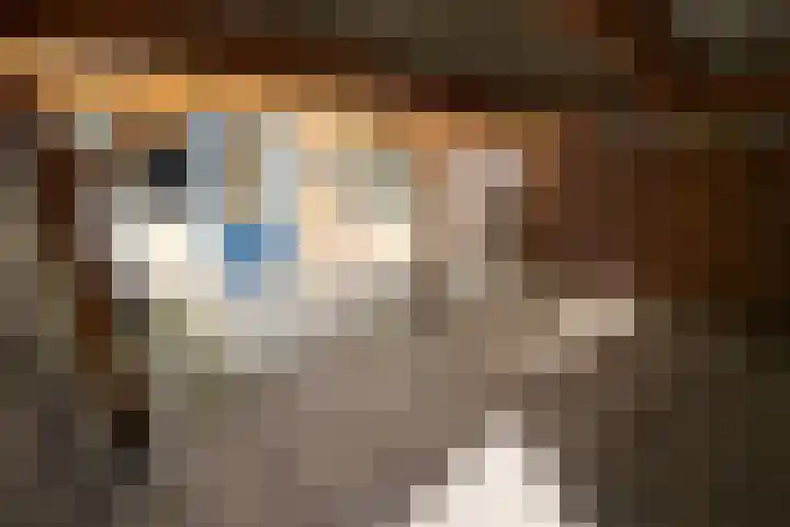 Hogepad 24 Heerde thumbnail 18