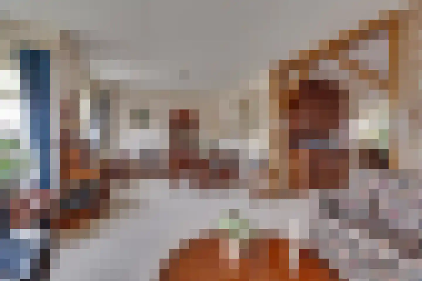 Hogepad 4 Rijssen thumbnail 13