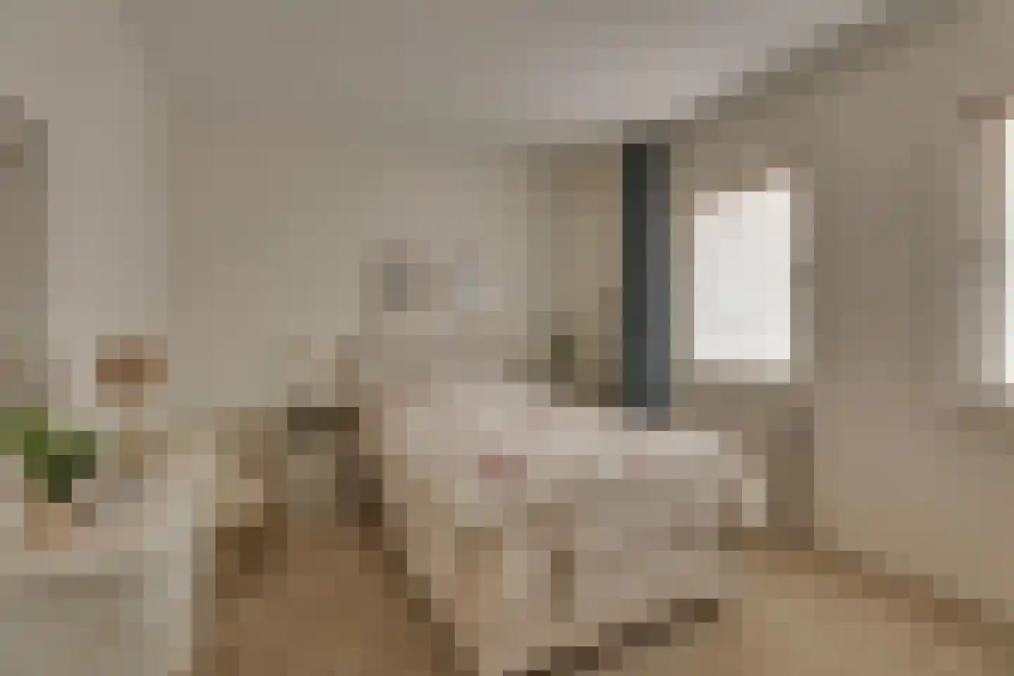 Hogepad 4 Rijssen thumbnail 17