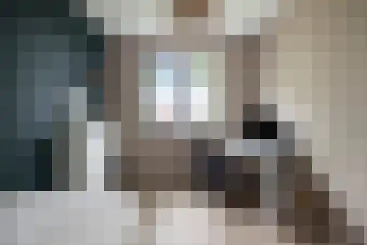 Hogepad 40 a Heerde thumbnail 22