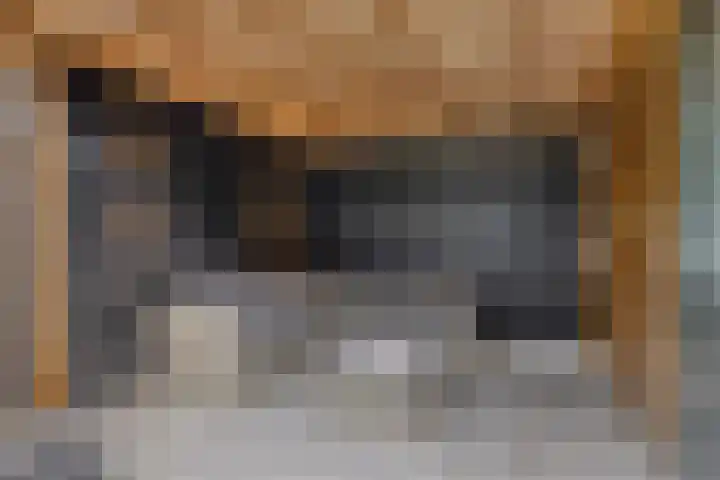 Hogepad 40 a Heerde thumbnail 30