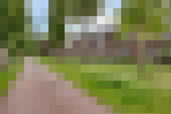 Hogepad 40 a Heerde thumbnail 34