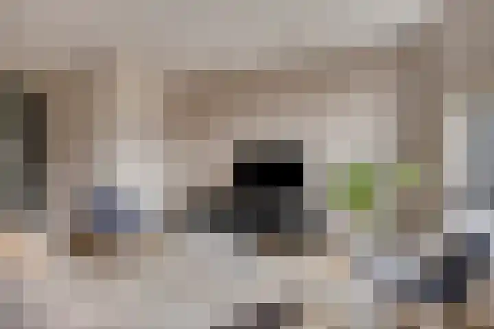 Hogepad 40 a Heerde thumbnail 5