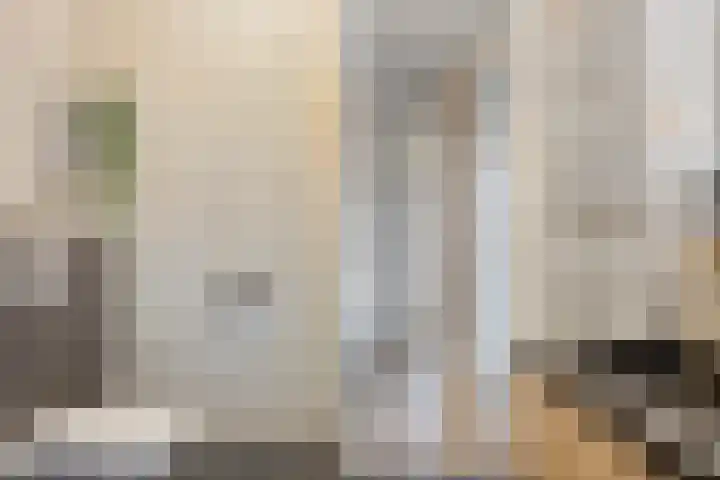 Hogepad 40 d Heerde thumbnail 22