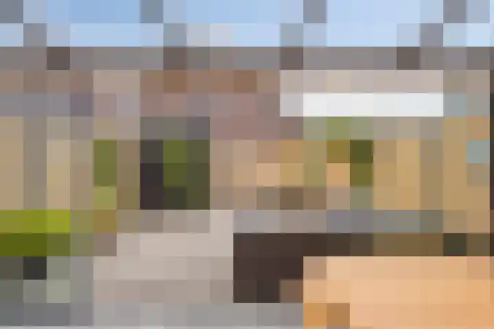 Hogepad 40 d Heerde thumbnail 25