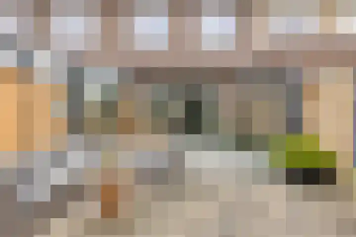 Hogepad 40 d Heerde thumbnail 28