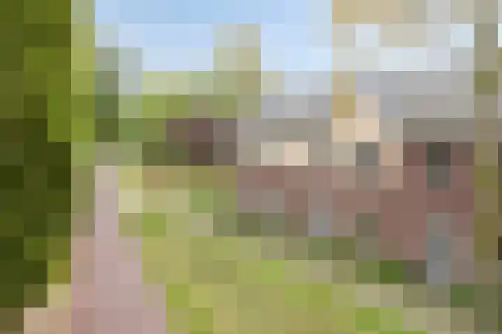 Hogepad 40 d Heerde thumbnail 33