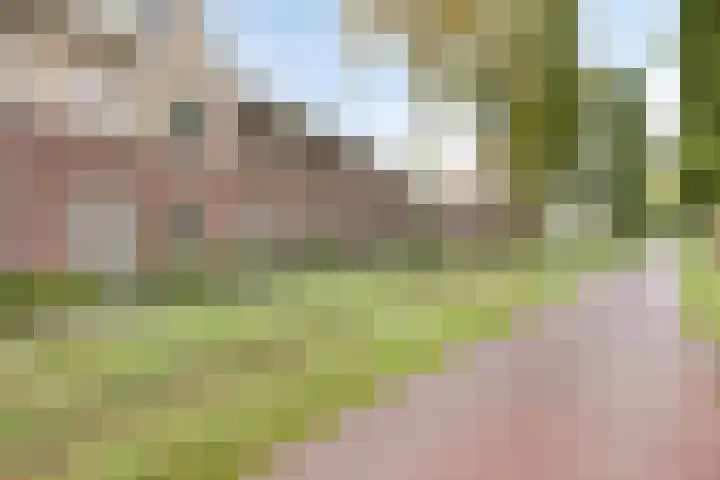 Hogepad 40 d Heerde thumbnail 34