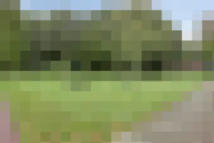Hogepad 40 d Heerde thumbnail 36