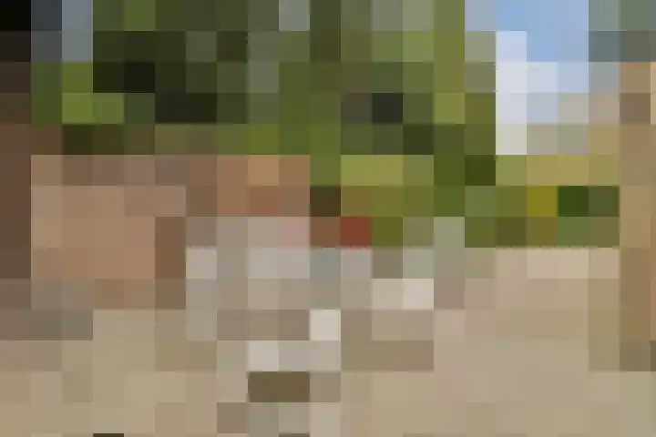 Hoger-Amstellaan 20 Ouderkerk aan de Amstel thumbnail 10