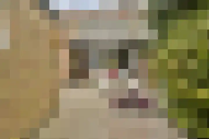 Hoger-Amstellaan 20 Ouderkerk aan de Amstel thumbnail 12