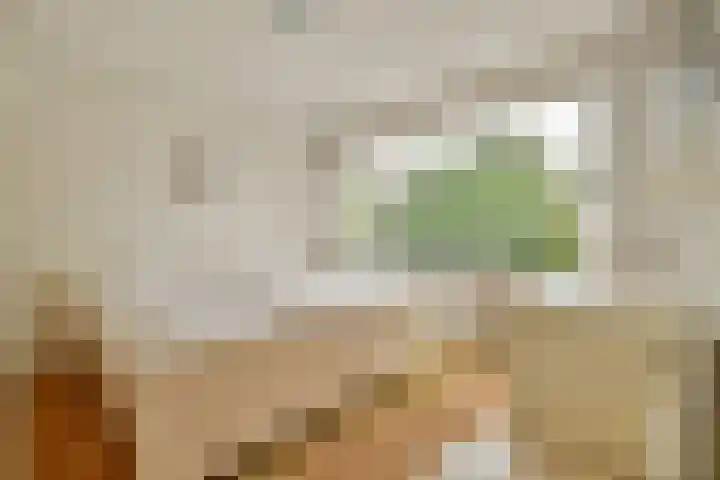 Hoger-Amstellaan 20 Ouderkerk aan de Amstel thumbnail 14