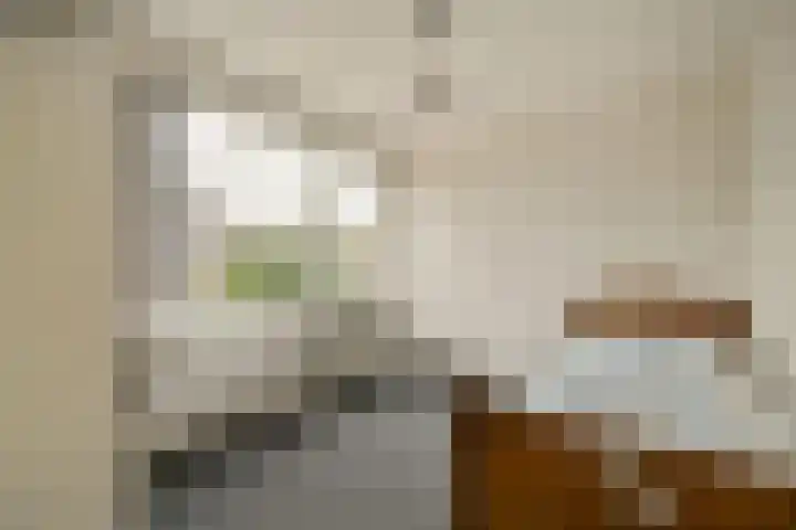 Hoger-Amstellaan 20 Ouderkerk aan de Amstel thumbnail 17