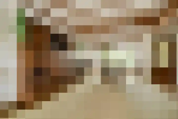 Hoger-Amstellaan 20 Ouderkerk aan de Amstel thumbnail 6