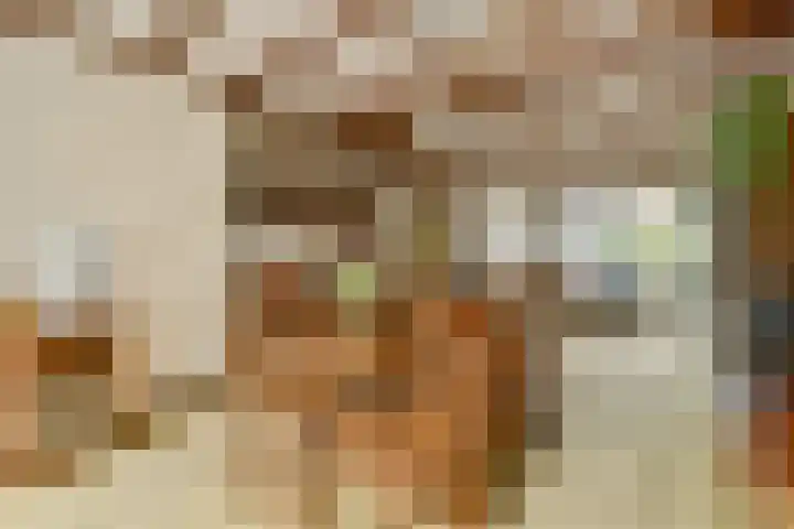 Hoger-Amstellaan 20 Ouderkerk aan de Amstel thumbnail 7