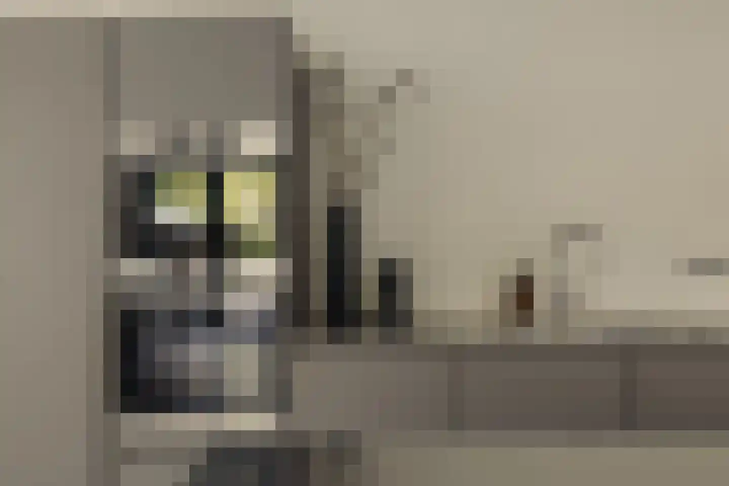 Hoger Einde-Zuid 14 Ouderkerk aan de Amstel thumbnail 11