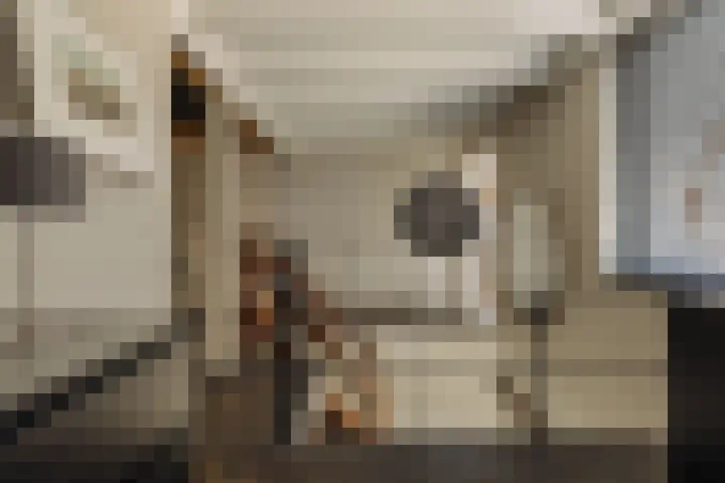 Hoger Einde-Zuid 14 Ouderkerk aan de Amstel thumbnail 21