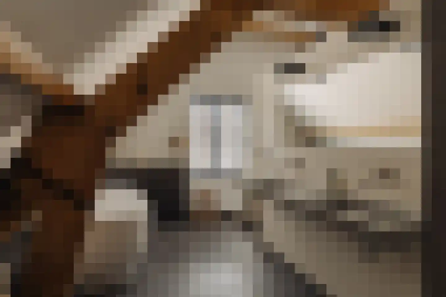 Hoger Einde-Zuid 14 Ouderkerk aan de Amstel thumbnail 35