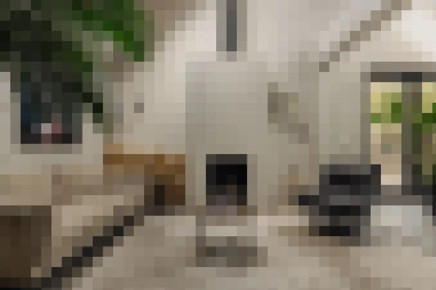 Hoger Einde-Zuid 14 Ouderkerk aan de Amstel thumbnail 5