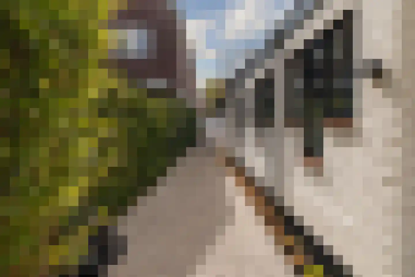 Hoger Einde-Zuid 14 Ouderkerk aan de Amstel thumbnail 51