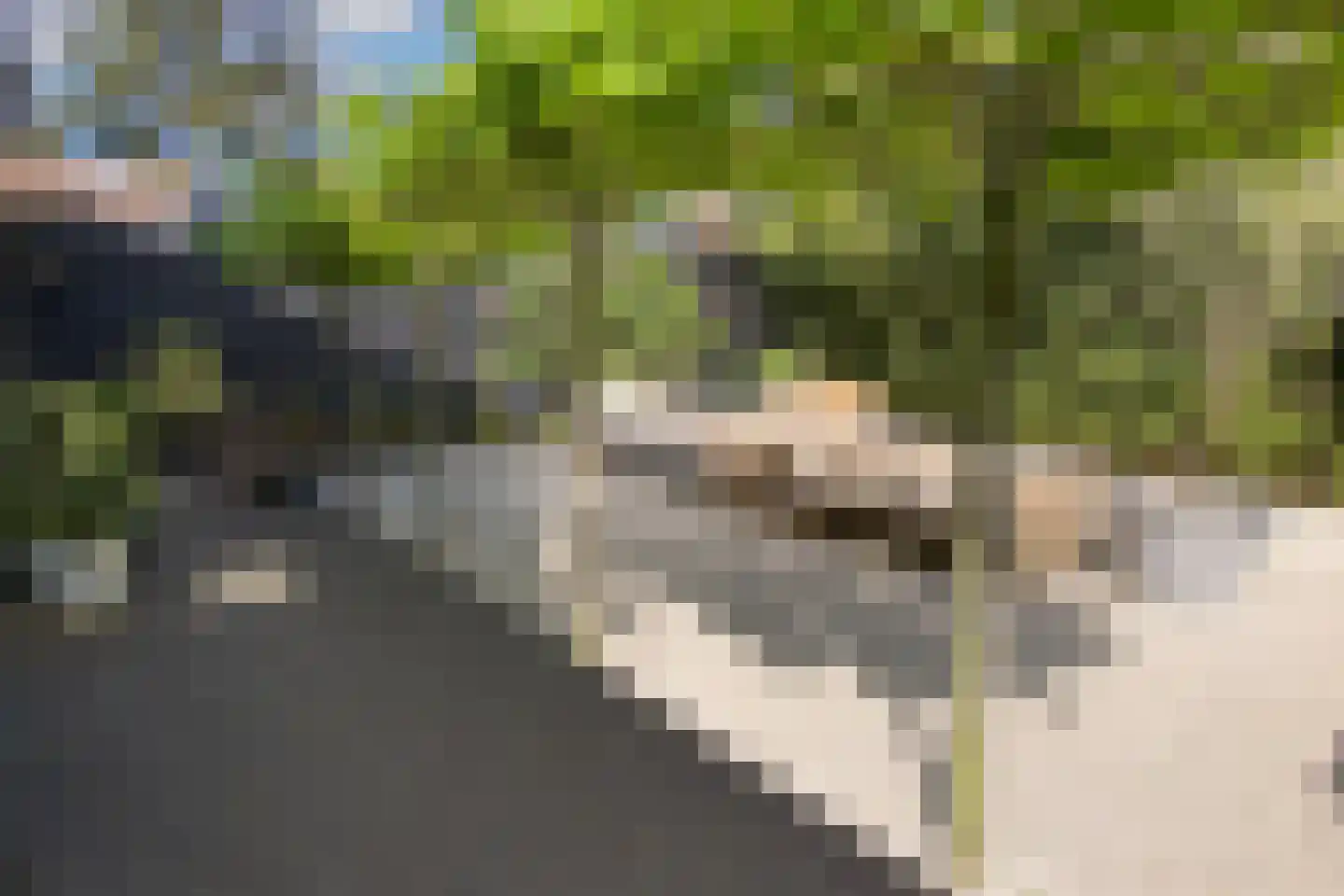 Hoger Einde-Zuid 14 Ouderkerk aan de Amstel thumbnail 53