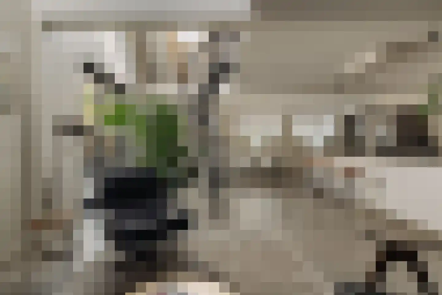 Hoger Einde-Zuid 14 Ouderkerk aan de Amstel thumbnail 6