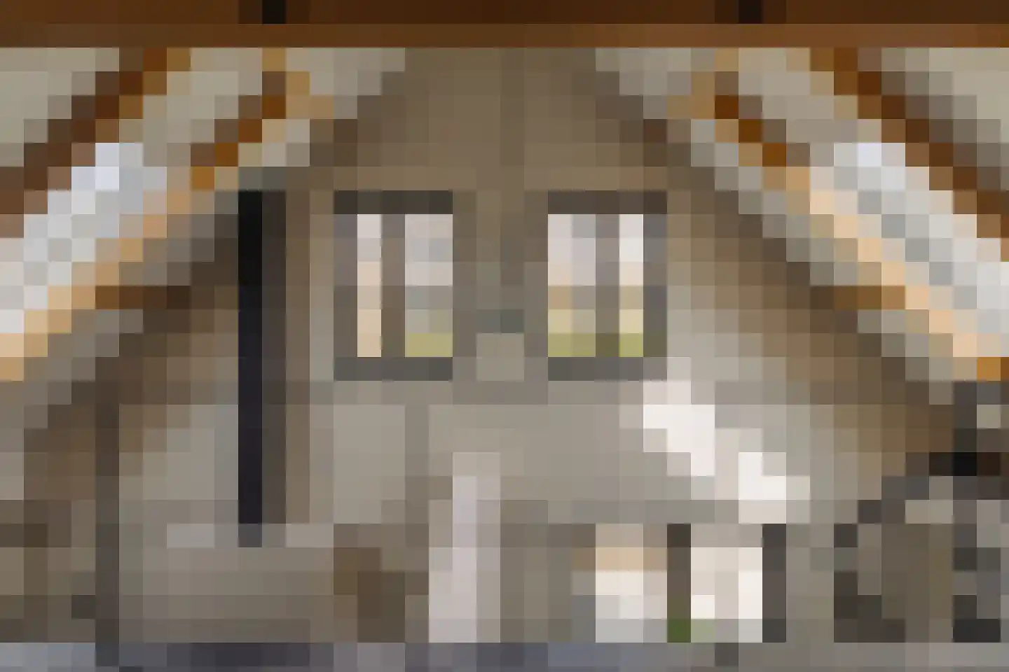 Hoger Einde-Zuid 14 Ouderkerk aan de Amstel thumbnail 9