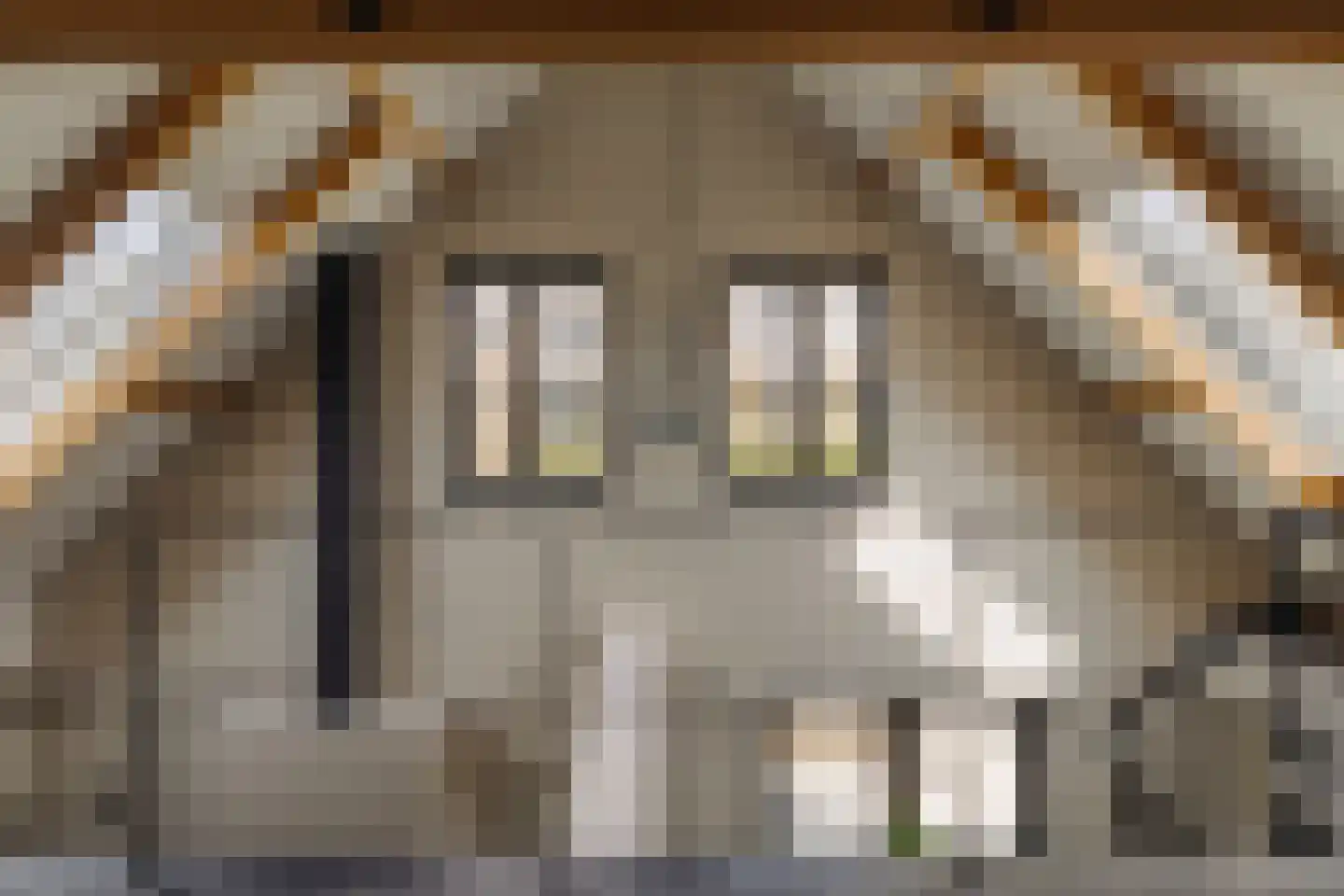 Hoger Einde-Zuid 14 Ouderkerk aan de Amstel thumbnail 9