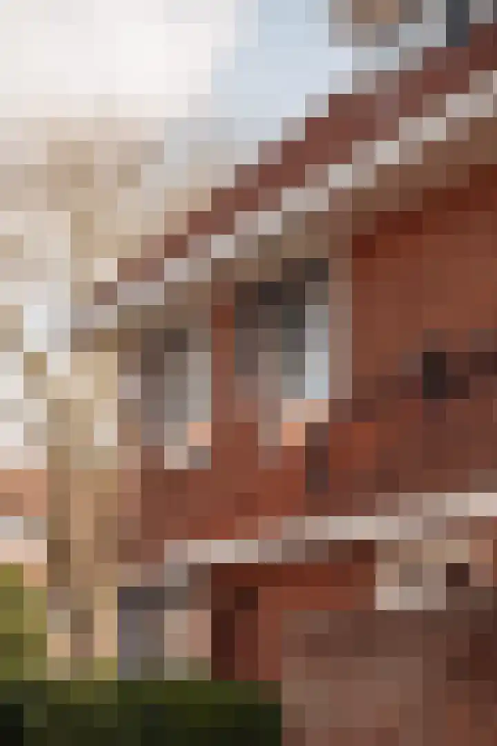 Hogerbeetsstraat 1 Wassenaar thumbnail 4