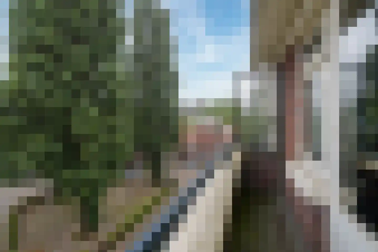 Hogerbeetsstraat 15 A Rotterdam thumbnail 20