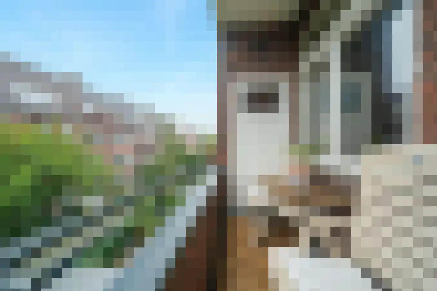 Hogerbeetsstraat 15 A Rotterdam thumbnail 4
